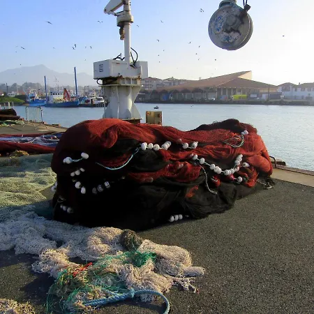 Maison Individuelle Cote Basque 別荘 *