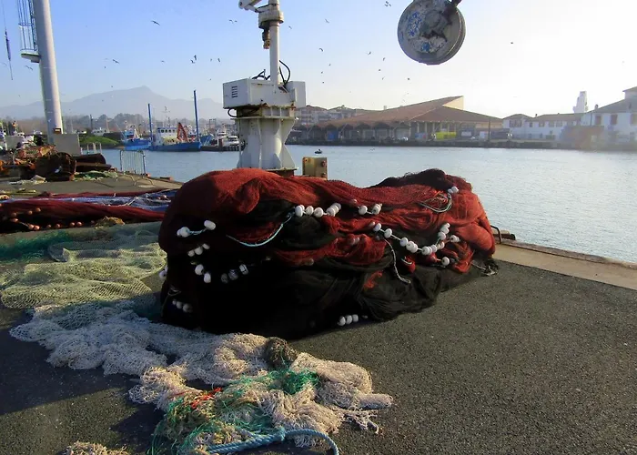 Maison Individuelle Côte Basque Hébergement de vacances *